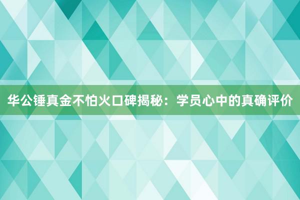 华公锤真金不怕火口碑揭秘：学员心中的真确评价