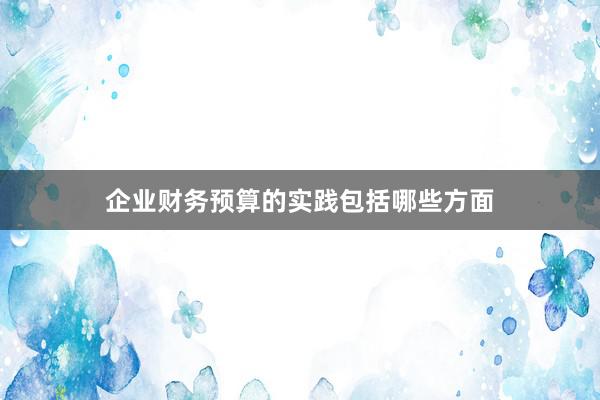 企业财务预算的实践包括哪些方面